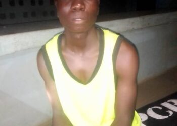 Police Arrest 22-year-old For Allegedly Stabbing Salesgirl In Yobe