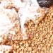 Making Extra Money From Tigernuts Farming 5 Making Fortune As R2W Designer