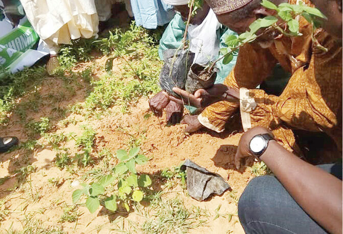 Kebbi Plants 100,000 Trees To Curb Desertification 1 Some participants at the flagg off of ‘1 person 4 trees campaign of OXFAM Proact project in Kebbi State 671x459 1