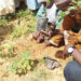 Kebbi Plants 100,000 Trees To Curb Desertification 5 Kebbi Plants 100,000 Trees To Curb Desertification
