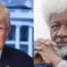 Soyinka Mulls Reapplying For US Green Card After Trump’s Conviction
