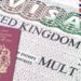 JAPA: How To Apply For UK Seasonal Worker Visa In 2024