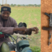Terrorists Commander Lawal Kwalba Surrenders To Troops In Kaduna