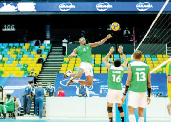 Volleyball Federation Eyes Corporate Investment