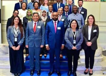 Adedeji Advocates For Global Tax Reform