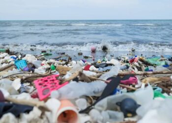 The Urgency Of Addressing Plastic Pollution In Oceans