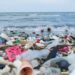The Urgency Of Addressing Plastic Pollution In Oceans 5 The Urgency Of Addressing Plastic Pollution In Oceans