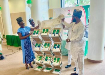 Investment: Federal Gov’t Unveils National Energy Policy, Master Plan