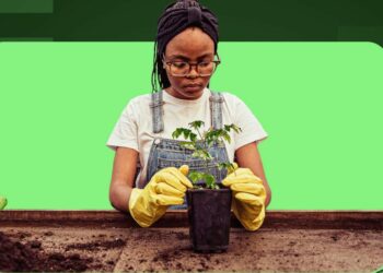 Food Security: Firm Launches Home Farming Kits For Gardening