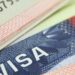 UAE Offers 10-year ‘Blue Residency Visa’ For Environmentalists