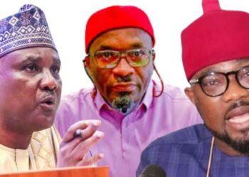 Abbas, Kalu’s All-inclusive Leadership Style Behind Stable 10th House Of Reps — Ugochinyere