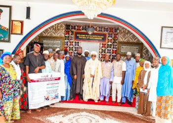 Health Insurance: Niger Gov’t Secures GAVI Funding, Enrolls Zero-dose Children, Others