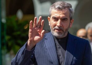 Bagheri Appointed Iran’s Acting Foreign Minister Following Helicopter Crash