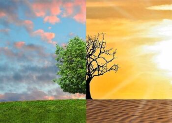 Environmentalists Launch Initiative Against Climate Crisis In Nigeria