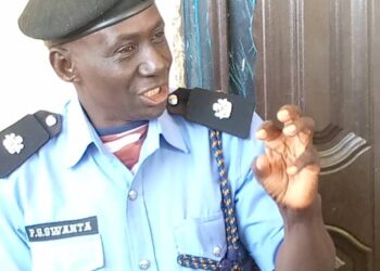 ISWAP Terrorists Kill DPO In Borno, Injure 2 Others
