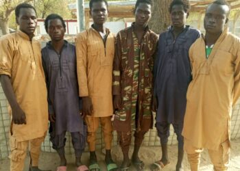 Terrorists Commander, 5 Fighters Surrender To MNJTF In Borno