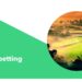 Edge with BetZillion and Conquer the Nigerian Betting Market