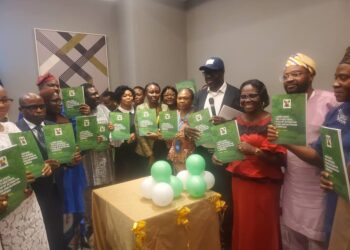 Lagos Govt Seeks N82.1bn To Tackle Malnutrition