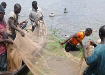 JUST-IN: 31 Killed, 40 Missing As Terrorists Attack Fishermen In Borno