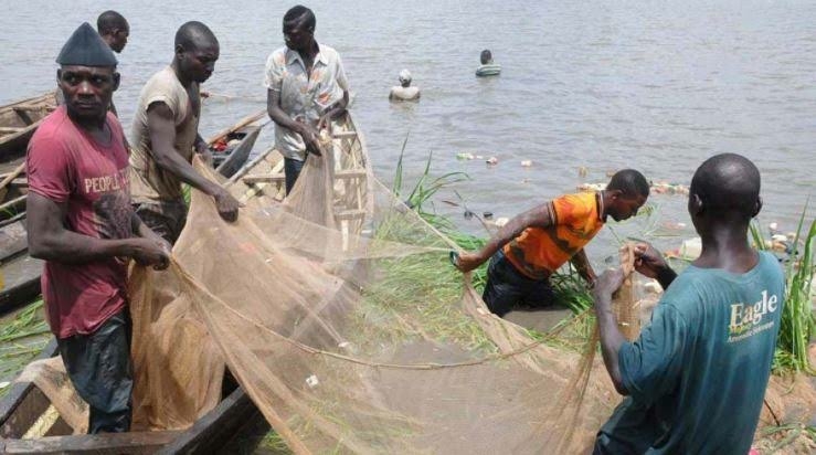 JUST-IN: 31 Killed, 40 Missing As Terrorists Attack Fishermen In Borno 1 WhatsApp Image 2024 05 29 at 16.25.40