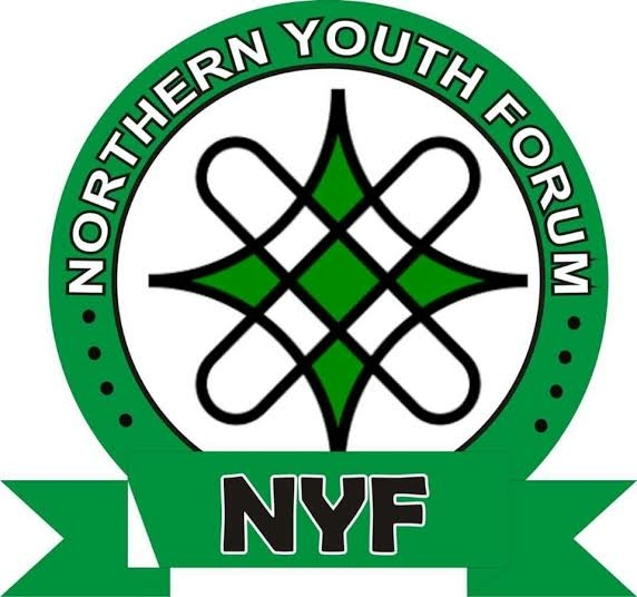 Group Alleges Nigeria Sliding Into One-Party State 1 images 50 1