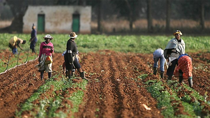 kwara agric 1