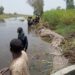 MNJTF Hails Lake Chad Communities For Supporting Terrorism Fight 5 MNJTF Hails Lake Chad Communities For Supporting Terrorism Fight