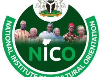 Institute Wants Nigerians To Prioritise Culture In National Devt