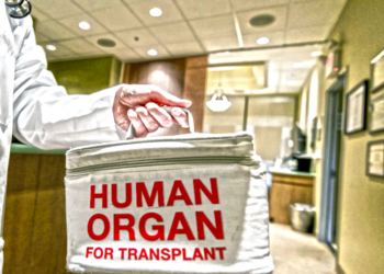Stakeholders Urge Ethical Practices In Organ Transplantation