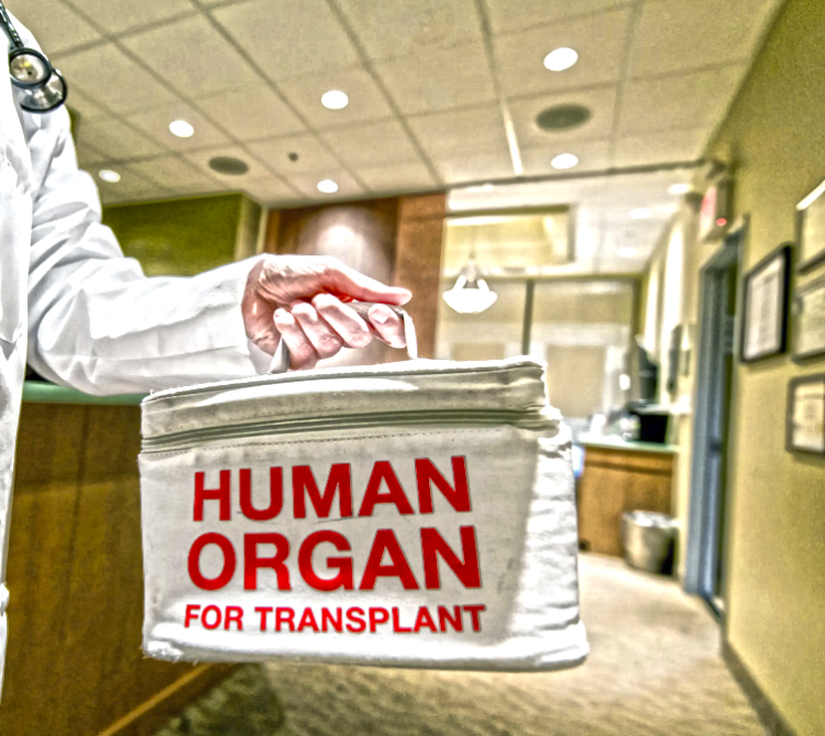 Stakeholders Urge Ethical Practices In Organ Transplantation