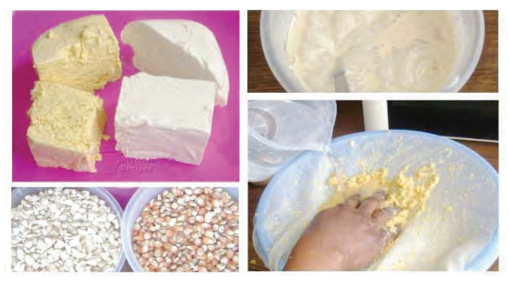 Investing In Pap Processing Business 1 pap business