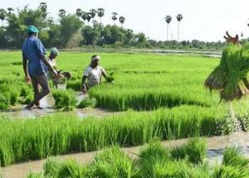 HEDA, NiMet Train 500 Farmers On Seasonal Climate Predictions