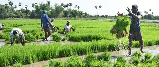 HEDA, NiMet Train 500 Farmers On Seasonal Climate Predictions 1 0e0d3e21 myanmar farmers