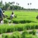 HEDA, NiMet Train 500 Farmers On Seasonal Climate Predictions