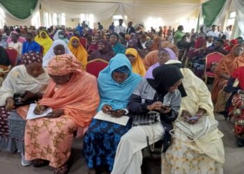 460 Niger Youths, Women Empowered With Digital Skills