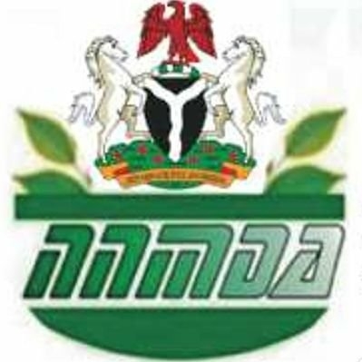 NNMDA Produces Herbal Medicines For Treatment Of Diabetes, Others 1 6zFlnDS1 400x400