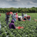 Nigerian Students Demand Accountability For Agricultural Sector Failures.