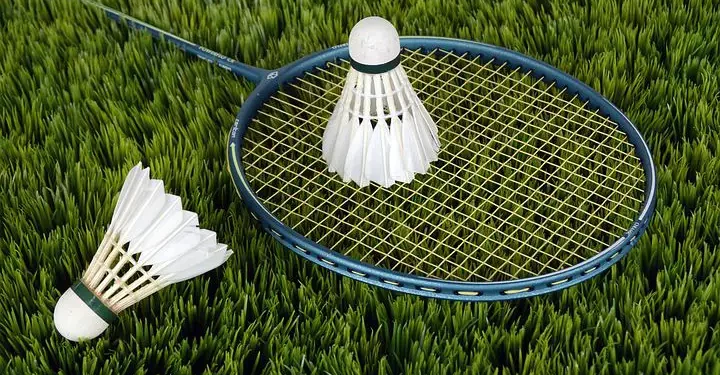 Novel Badminton