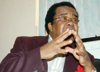 Nigeria Has Civilian Rule, Not True Democracy –Prof Akinyemi