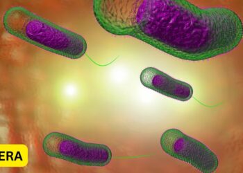 Katsina Confirms 2, Records 118 Suspected Cholera Cases