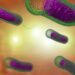 Katsina Confirms 2, Records 118 Suspected Cholera Cases