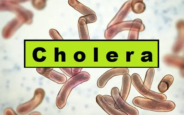 Cholera
