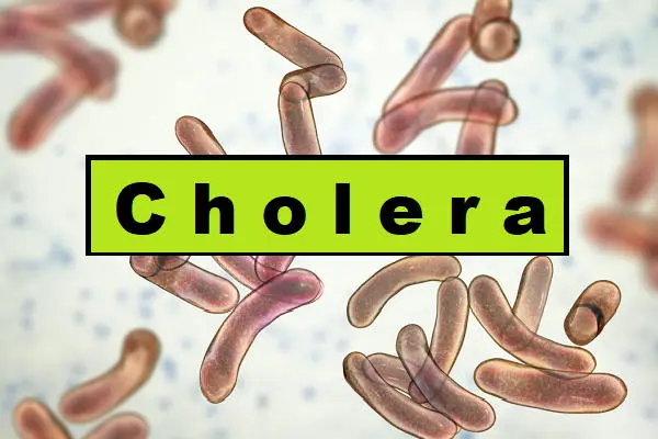 Combating The Cholera Scourge 1 Cholera