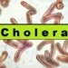 Combating The Cholera Scourge