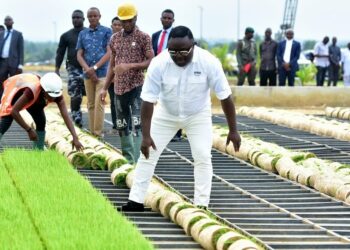 Cross River Partners Research Institutes To Boost Food Production