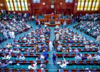 Reps Push For Return Of Statutory Delegates