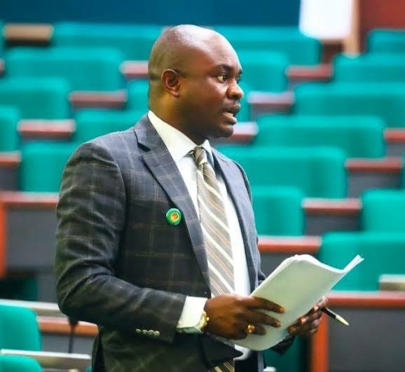 Eid-el-Kabir: Renew Real Hope, Not Hardship, Ex-Lawmaker Tells Tinubu 1 Farah Dagogo