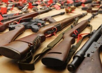 Expert Seeks Collaboration Against Firearms Proliferation