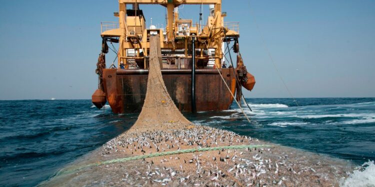 Trawler Owners Abandon Nigeria For Benin