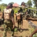Despite Threats Of Reprisal, South East Calm